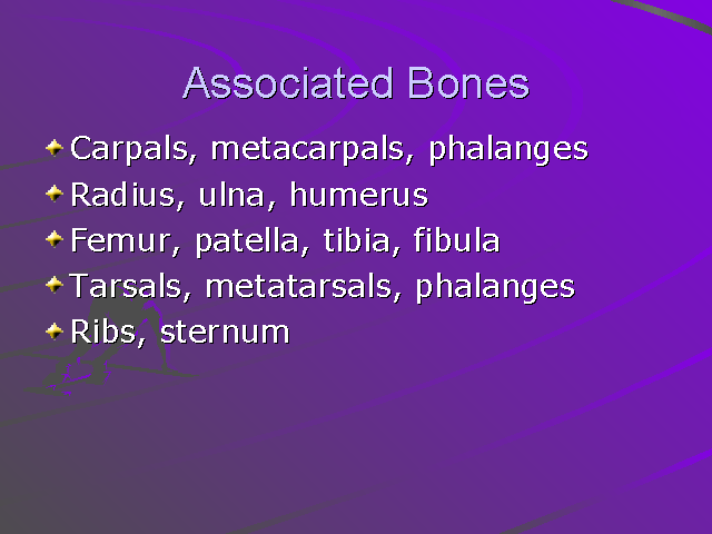 Associated Bones