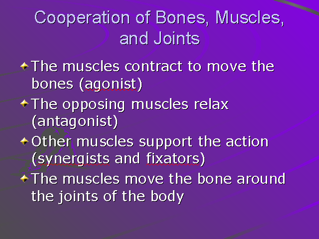 Cooperation of Bones, Muscles, and Joints